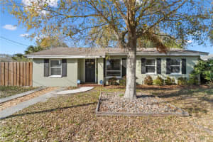 3913 WALLACE AVENUE, TAMPA, FL 33611 Sold 05/19/25