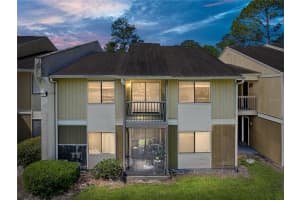 13385 Arbor Pointe Cir #203, TAMPA