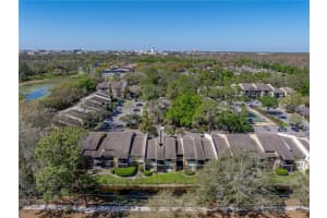 13385 ARBOR POINTE CIRCLE, TAMPA, FL 33617 - MLS#MFRTB8358047