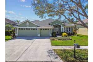 10620 TAVISTOCK DRIVE, TAMPA, FL 33626 Sold 05/29/25