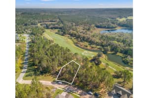 3897 SOUTHERN VALLEY LOOP, BROOKSVILLE, FL 34601 - MLS#MFRTB8358120