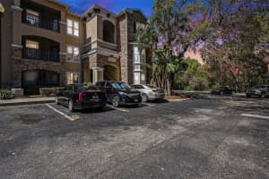 10017 Courtney Palms Blvd #301, TAMPA