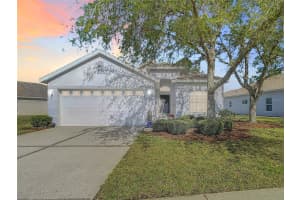 23901 CORAL RIDGE LANE, LAND O LAKES, FL 34639 Sold 06/06/25