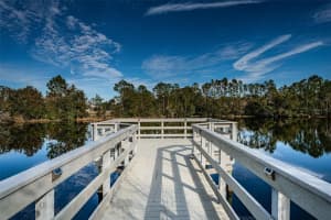 3150 GRANITE RIDGE LOOP, LAND O LAKES, FL 34638 Sold 05/06/25