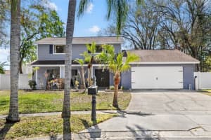 15802 KNOLLVIEW DRIVE, TAMPA, FL 33624 Sold 06/12/25