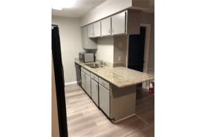 224 RED MAPLE PLACE, BRANDON, FL 33510 - MLS#MFRTB8358246