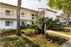 142 LAKEVIEW WAY, OLDSMAR, FL 34677 - MLS#MFRTB8358266