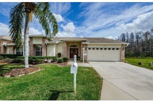 1032 BLYTH HILL COURT, TRINITY, FL 34655 Sold 04/15/25