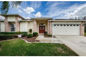 1032 BLYTH HILL COURT, TRINITY, FL 34655 Sold 04/15/25
