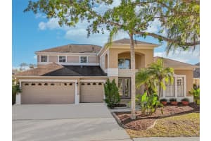 10211 Quails Landing Ave, TAMPA