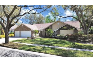 15843 DAWSON RIDGE DRIVE, TAMPA, FL 33647 Sold 04/28/25