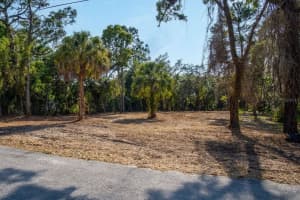 16219 LARSON LANE, HUDSON, FL 34667 - MLS#MFRTB8358545