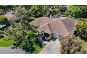 12010 Hardaman Pl, TAMPA