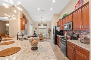 313 OLD WINDSOR WAY, SPRING HILL, FL 34609 Sold 06/12/25