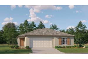 3647 FOREST PATH DRIVE, PLANT CITY, FL 33565 Sold 04/24/25