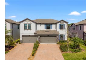 4896 San Martino Dr, WESLEY CHAPEL