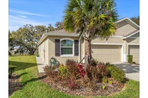 31465 MANGO FADE WAY, SAN ANTONIO, FL 33576 Sold 04/17/25