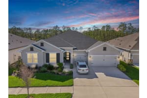 4032 TOUR TRACE, LAND O LAKES, FL 34638 Sold 06/05/25