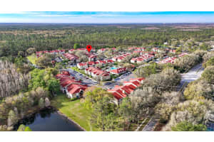 9481 HIGHLAND OAK DRIVE, TAMPA, FL 33647 Sold 06/24/25