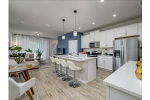 4272 CLOUD HOPPER WAY, LUTZ, FL 33559 Sold 09/02/25