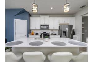 4272 CLOUD HOPPER WAY, LUTZ, FL 33559 Sold 09/02/25