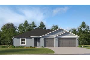 10228 ALDER GREEN DRIVE, RIVERVIEW, FL 33578 Sold 05/30/25