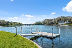 9017 PETAL COURT, HUDSON, FL 34667 - MLS#MFRTB8359007
