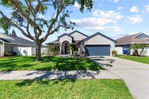 381 TAVERNIER CIRCLE, OLDSMAR, FL 34677 Sold 04/30/25