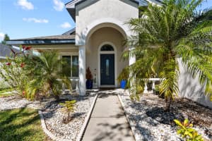 381 TAVERNIER CIRCLE, OLDSMAR, FL 34677 Sold 04/30/25