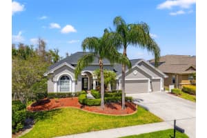 23327 GRACEWOOD CIRCLE, LAND O LAKES, FL 34639 Sold 06/03/25