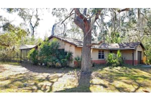6024 LEWDINGAR DRIVE, HOMOSASSA, FL 34446 Sold 04/29/25