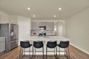 31879 TREASURE DOCK ISLE, WESLEY CHAPEL, FL 33545 Sold 07/11/25