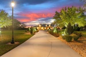 13206 LEWIS RAULERSON ROAD, DOVER, FL 33527 Sold 08/13/25