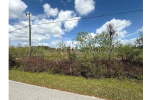 GREEN WILLOW RUN #LOT 747, WESLEY CHAPEL, FL 33544 Sold 09/12/25