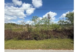GREEN WILLOW RUN #LOT 747, WESLEY CHAPEL, FL 33544 Sold 09/12/25
