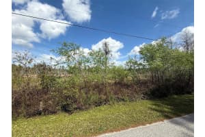 GREEN WILLOW RUN #LOT 747, WESLEY CHAPEL, FL 33544 Sold 09/12/25