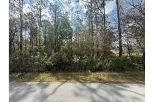 GREEN WILLOW RUN #LOT 759, WESLEY CHAPEL, FL 33544 - MLS#MFRTB8359192