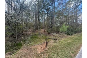 GREEN WILLOW RUN #LOT 759, WESLEY CHAPEL, FL 33544 - MLS#MFRTB8359192