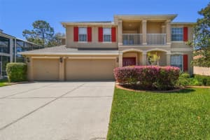 7309 Night Heron Dr, LAND O LAKES