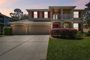 7309 NIGHT HERON DRIVE, LAND O LAKES, FL 34637 - MLS#MFRTB8359213