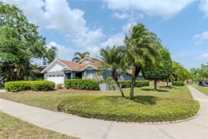14501 Brambie Ct, TAMPA