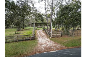25590 OLYMPIA ROAD, BROOKSVILLE, FL 34601 - MLS#MFRTB8359286