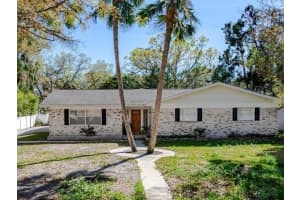 4820 SAN MIGUEL STREET, TAMPA, FL 33629 Sold 04/21/25