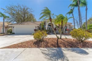 10408 DOUBLE BAYOU WAY, TAMPA, FL 33615 Sold 06/10/25