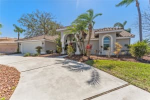10408 DOUBLE BAYOU WAY, TAMPA, FL 33615 Sold 06/10/25
