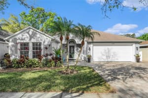 11450 CYPRESS PARK STREET, TAMPA, FL 33624 Sold 04/30/25