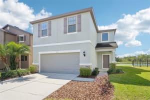 5955 Sweet Birch Dr, RIVERVIEW