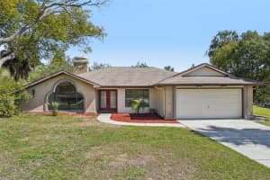 14048 Bruni Dr, SPRING HILL