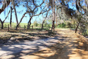 0 ST JOE ROAD, DADE CITY, FL 33525 - MLS#MFRTB8359374