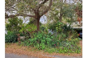 4202 BAY VISTA AVENUE, TAMPA, FL 33611 Sold 04/15/25
